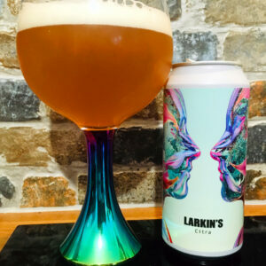 American Pale Ale | Larkin's | Citra | Irish Craft Beer Hub